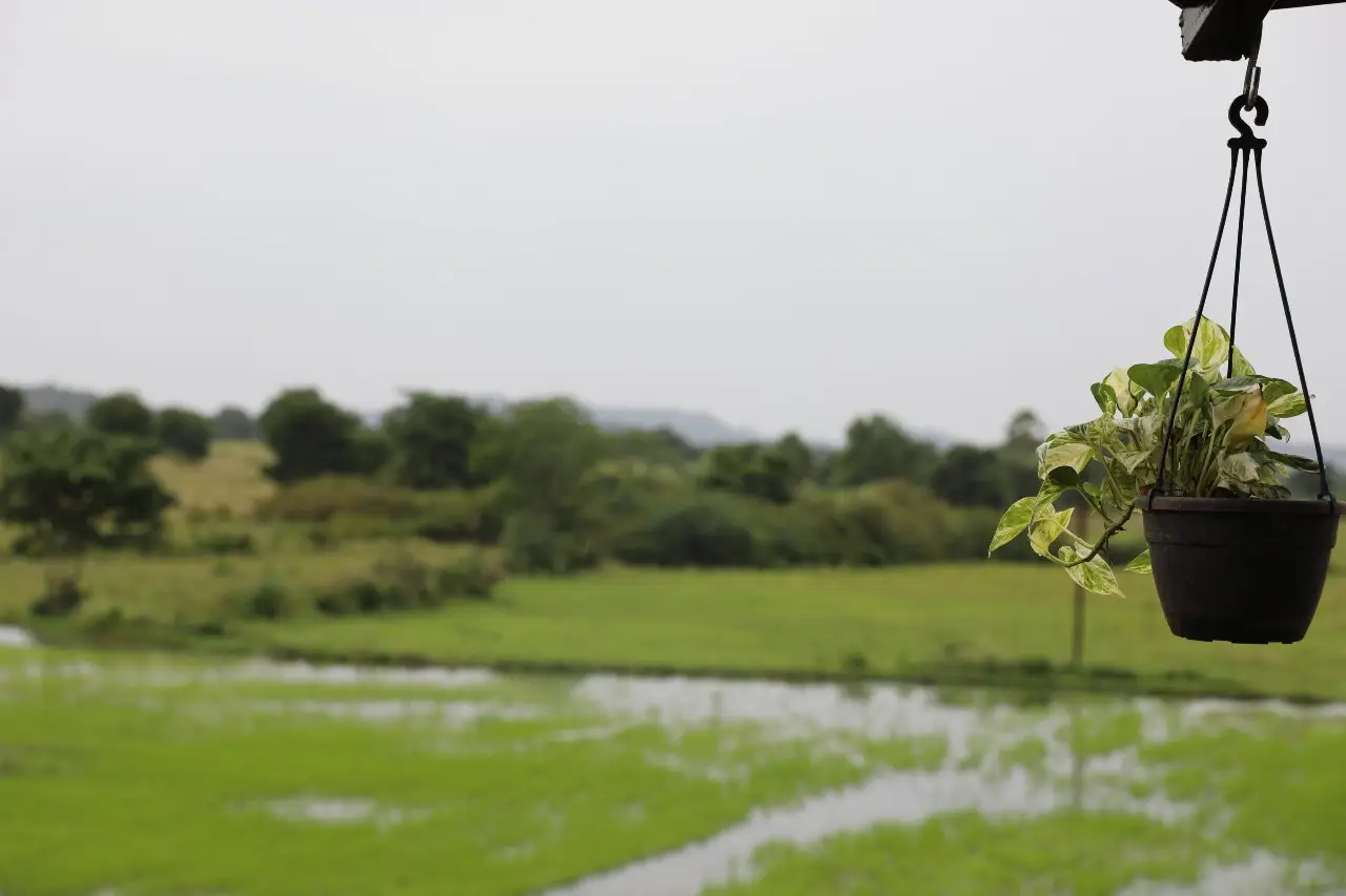 Pale Velugu Farm Stays, private farmhouse in Ibrahimpatnam, Hyderabad – photo 14