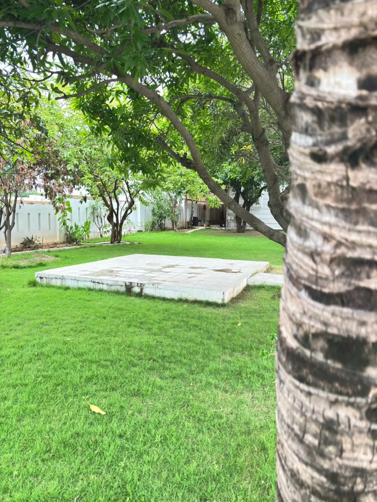 Nature’s Nest Retreat, private farmhouse in Shankarpally, Hyderabad – photo 8