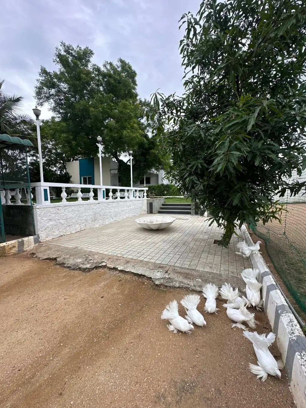 White House with Box Cricket, private farmhouse in Moinabad, Hyderabad – photo 13