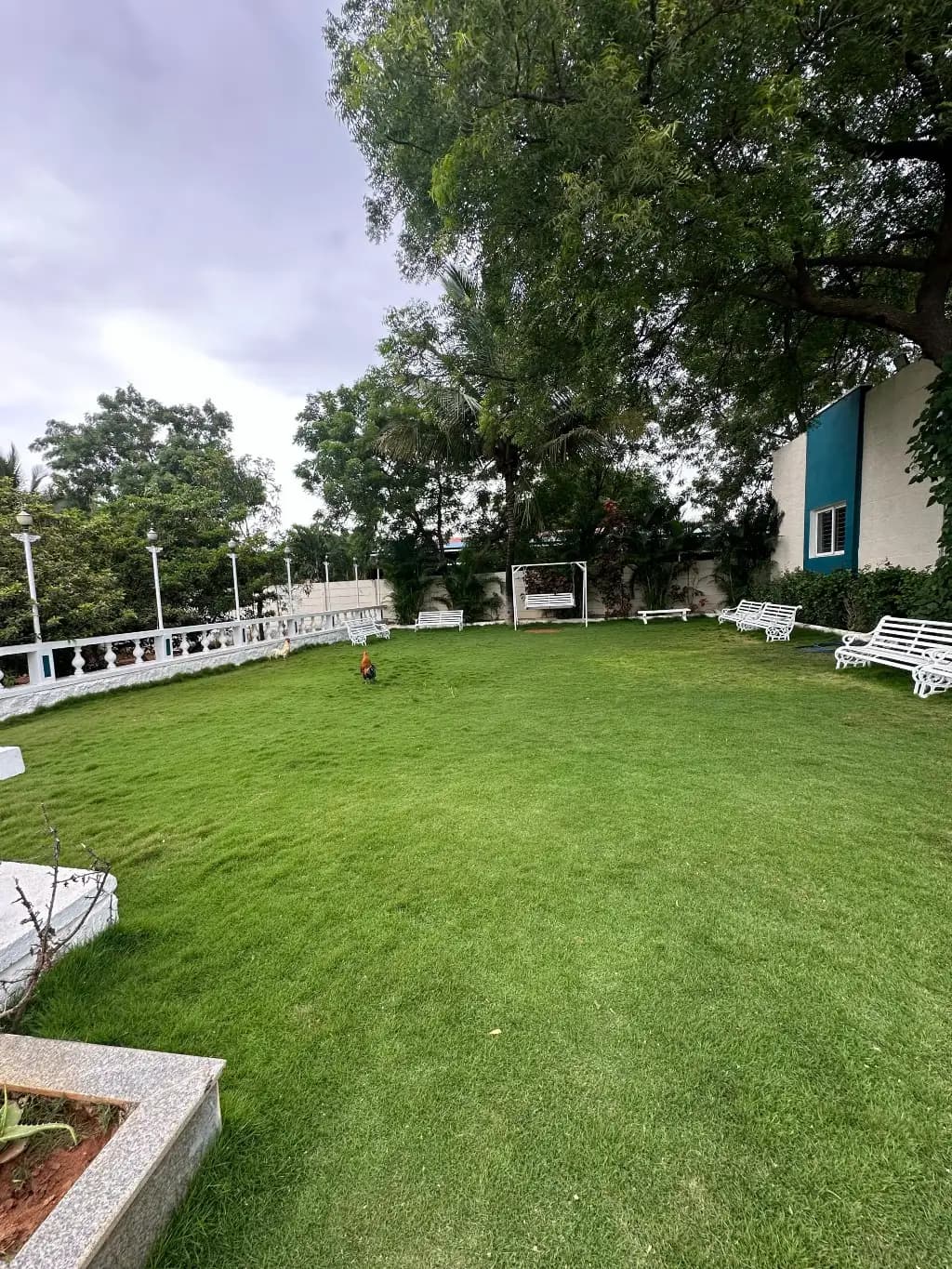 White House with Box Cricket, private farmhouse in Moinabad, Hyderabad – photo 10