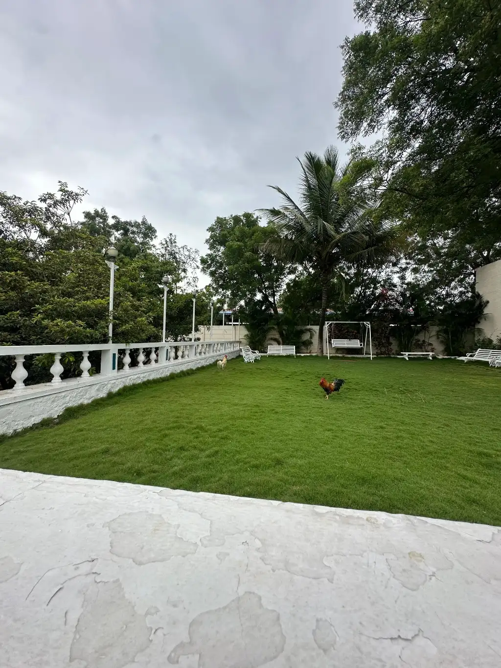 White House with Box Cricket, private farmhouse in Moinabad, Hyderabad – photo 11