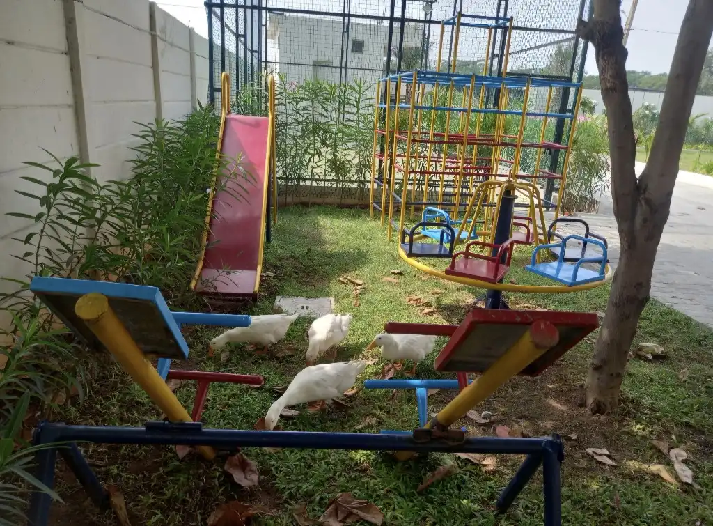 NaZaRa Farm Stay, private farmhouse in Moinabad, Hyderabad – photo 12